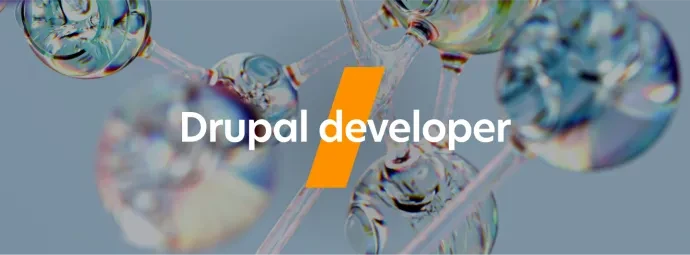 Drupal developer