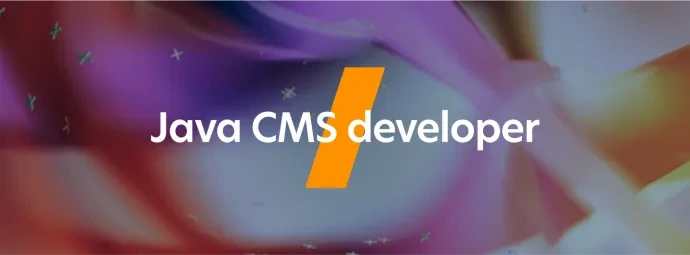 Java CMS developer