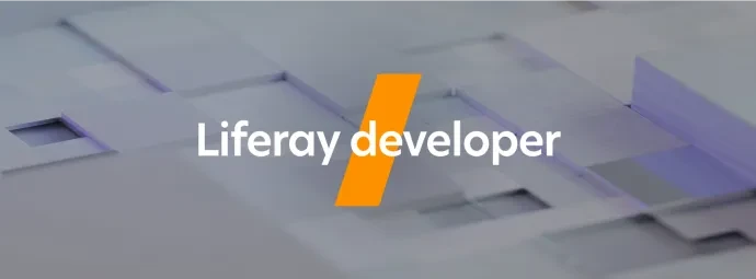 Liferay developer